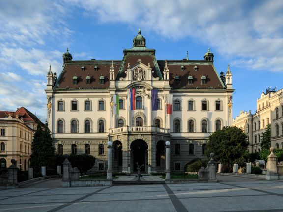 Univerza v Ljubljani izrez mala